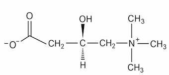 L-Carnitine Structure
